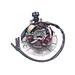 Stator Magneto 6 Pole 5 Wire